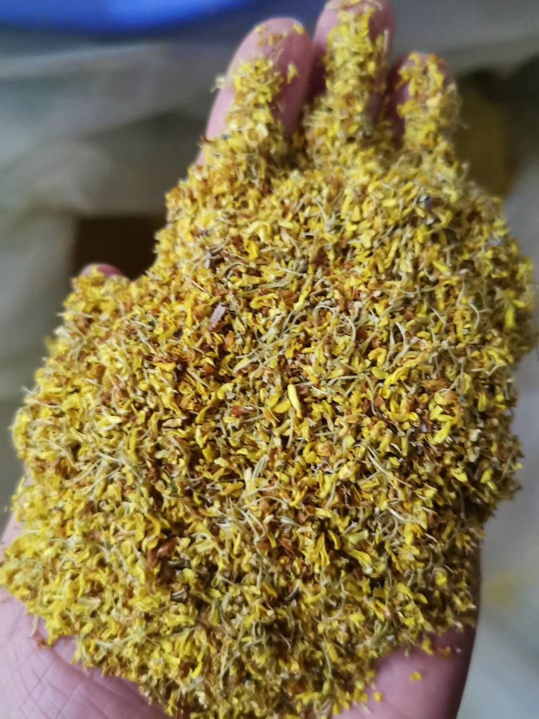 桂林桂花瓣 桂林干 干桂花 厂家直销 年产50吨