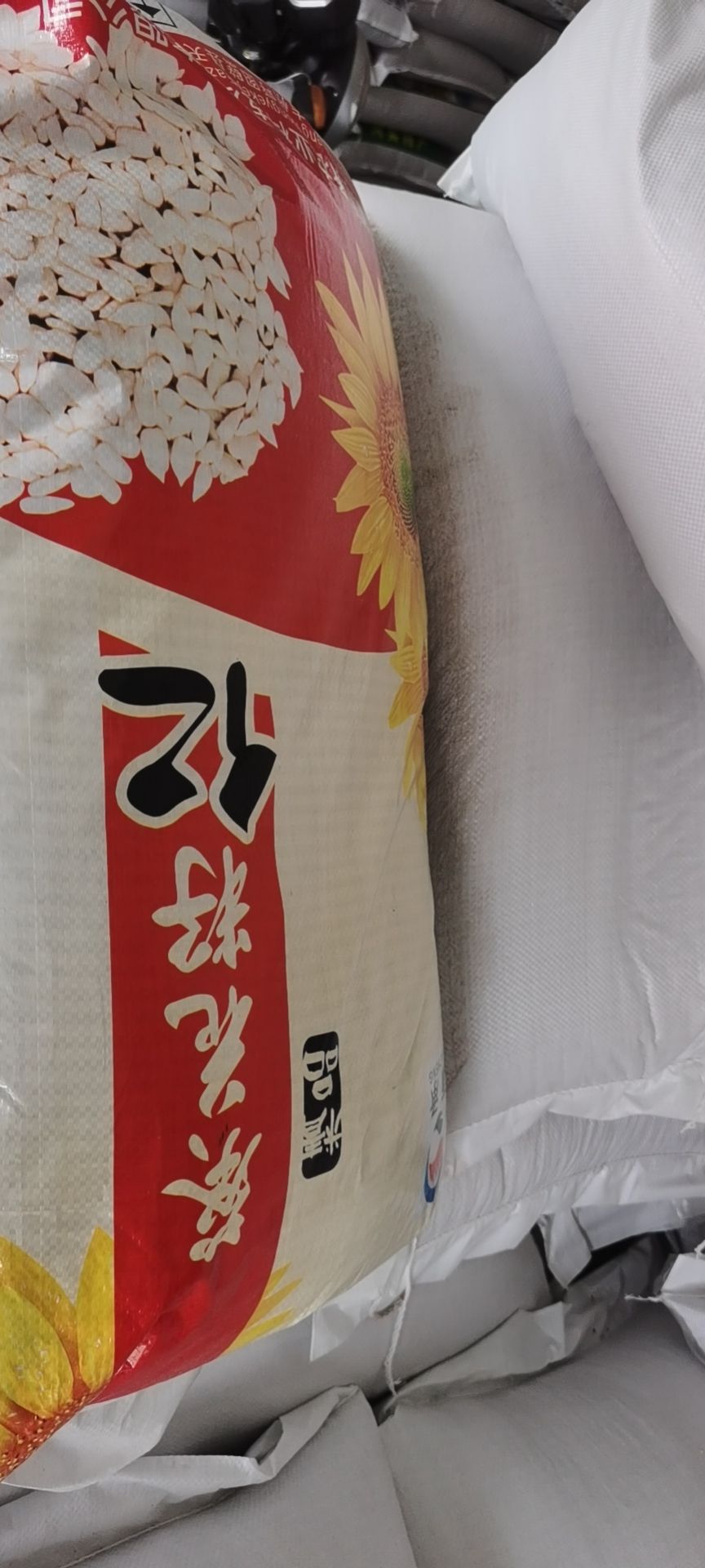 瓜子仁 2024葵花仁 保加油葵仁 榨油出油高58% 食品