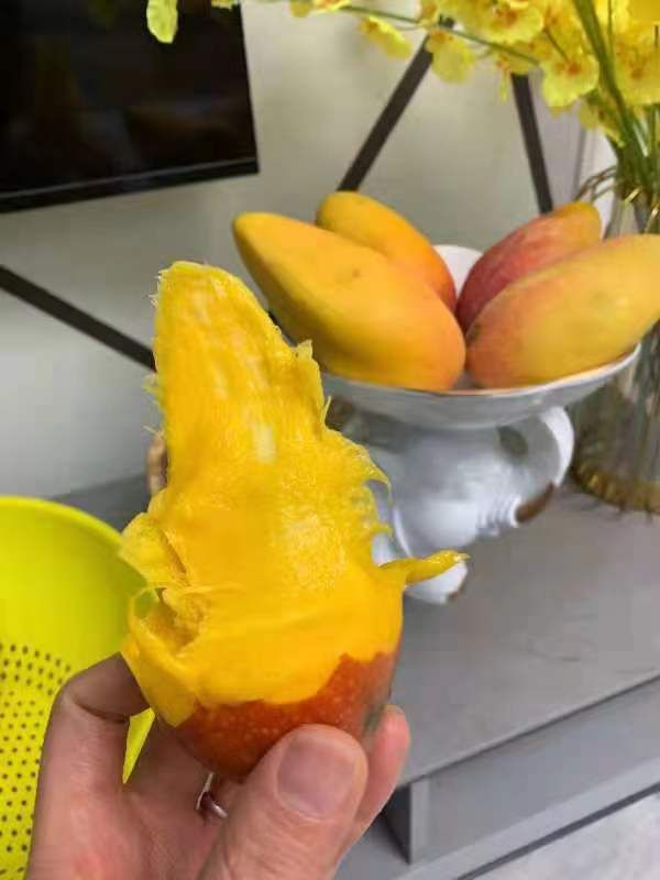 回购率高【包邮包售后】贵妃芒果皮薄多汁香，香味甜蜜