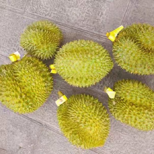 汕头金枕榴莲 金牛牌泰国金枕头榴莲