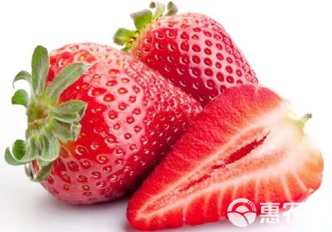 云南，金鑫草莓种植基地，夏季草莓己少量上市，发往全国各