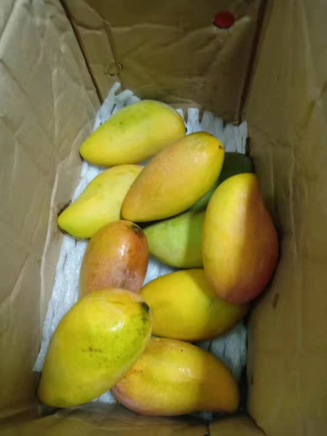 回购率高【包邮包售后】贵妃芒果皮薄多汁香，香味甜蜜