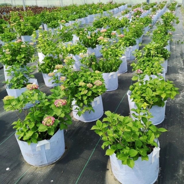 无耳25*20无纺布植树袋（100只）美植袋营养袋，育苗袋，