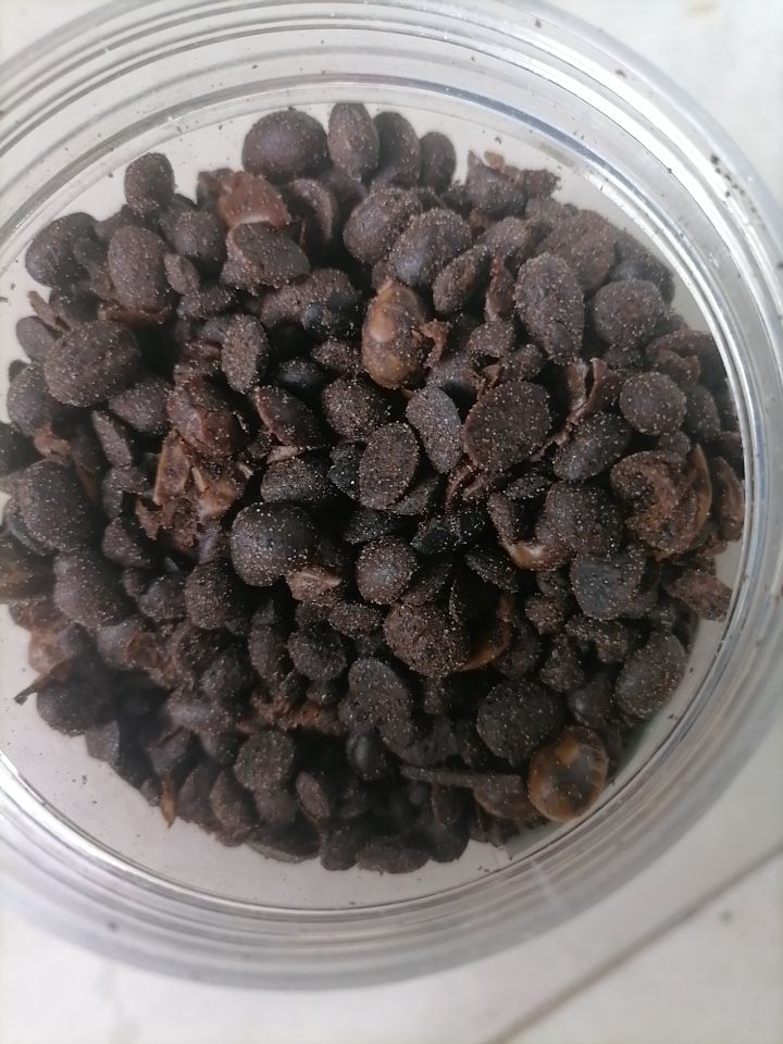 纯发酵大豆