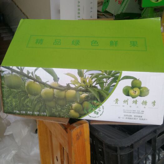 镇宁县六马蜂糖李四月李