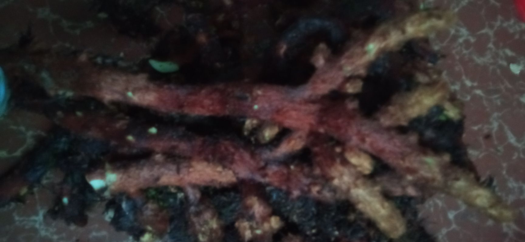骨碎补  碎骨补