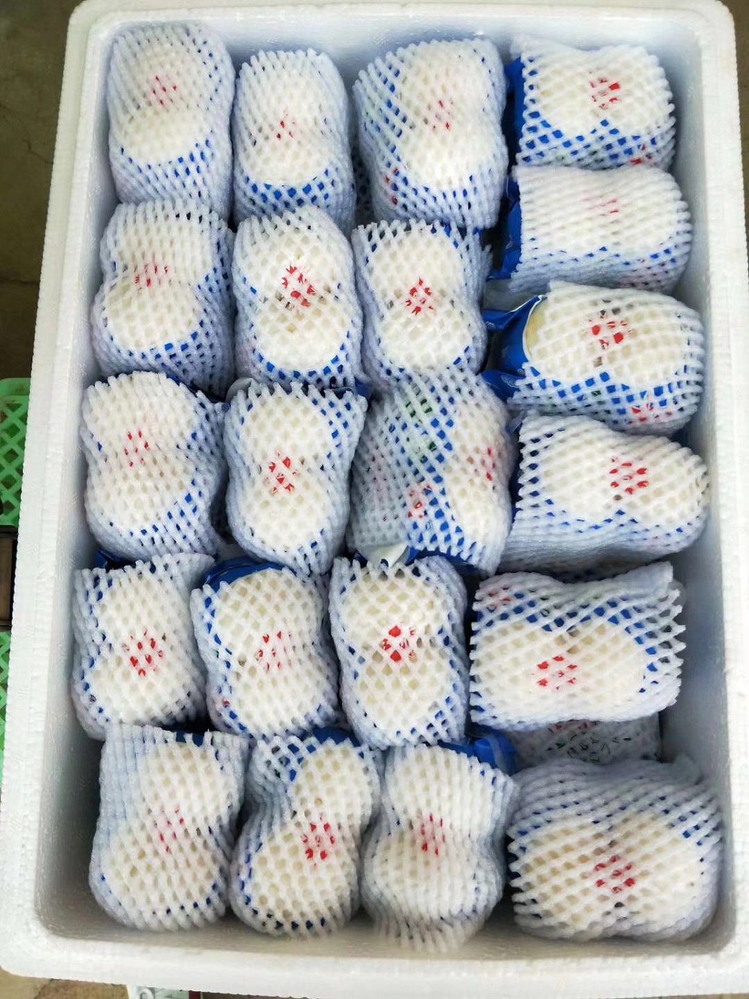 甘肃兰州鲜甜百合 七里河区直达新鲜供应
精品四头皇