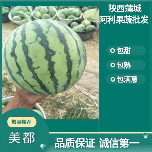 蒲城县万亩高品质美都皮薄肉红，糖度超甜。