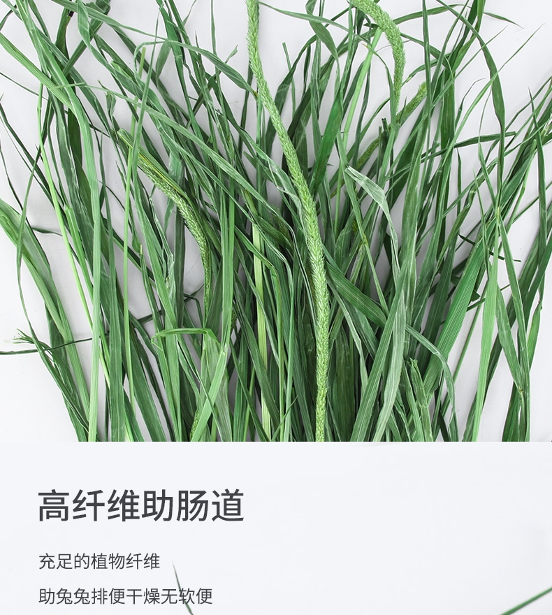干草  2022烘干提莫西无杆！叶多！包邮到家！质量保证！