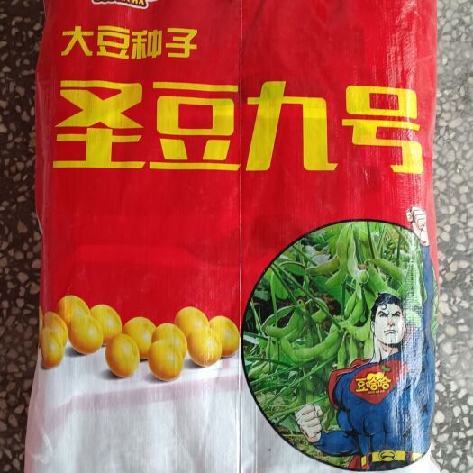 金乡县黄豆种子 高产大豆，大田用种，尖叶透光性好，株收敛落叶不裂荚