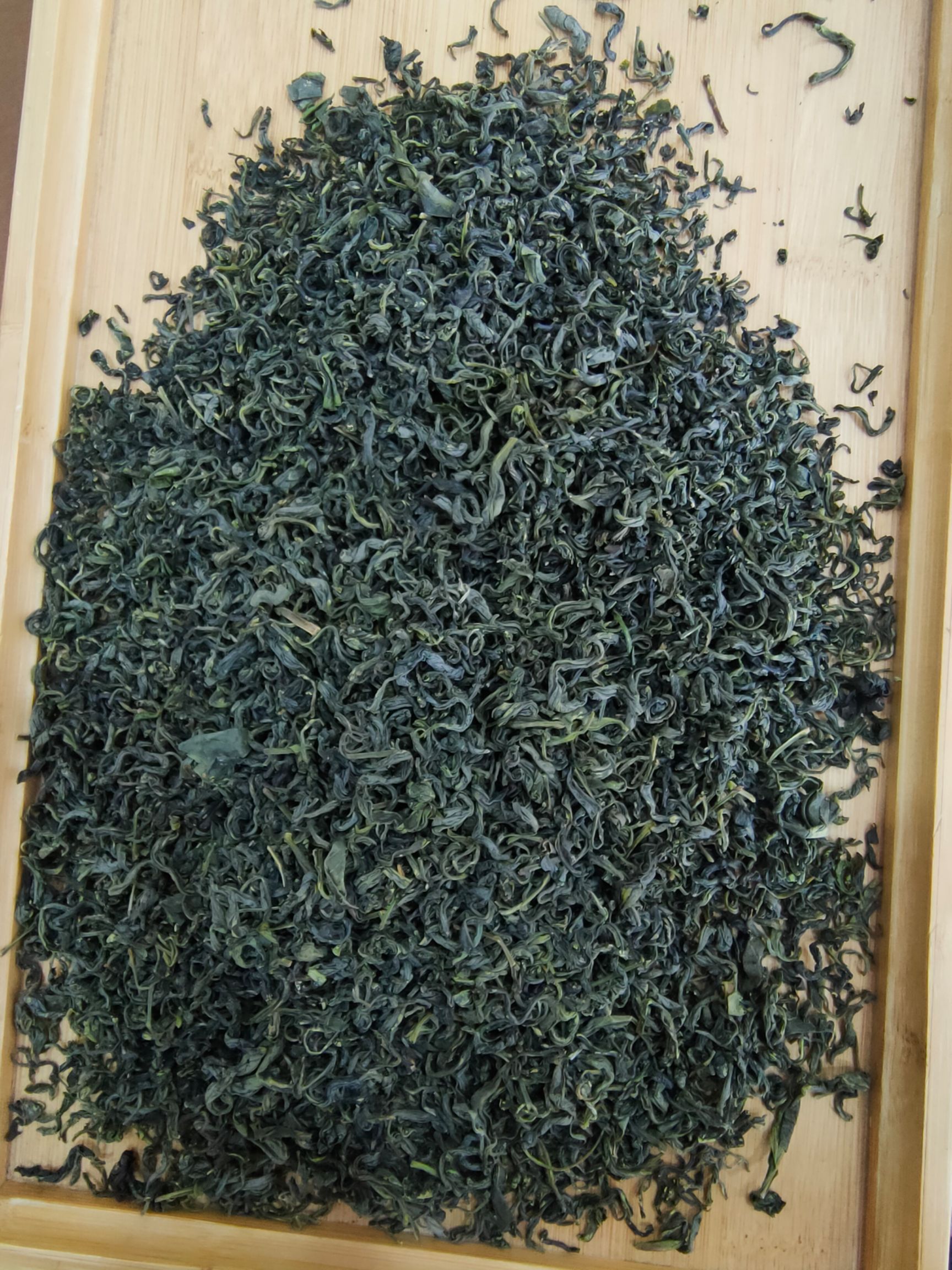 2025绿茶 香茶 散装