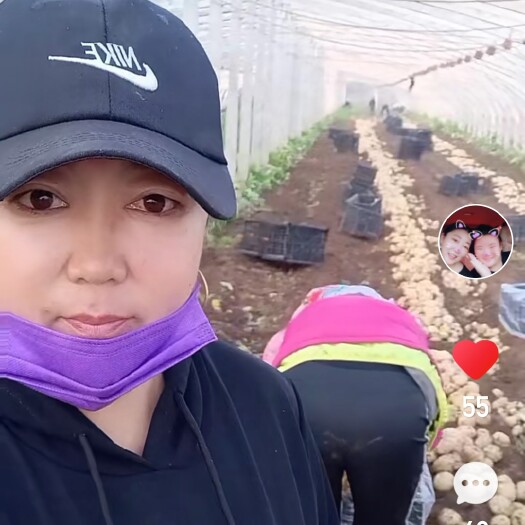 绥中县绥中早大白土豆