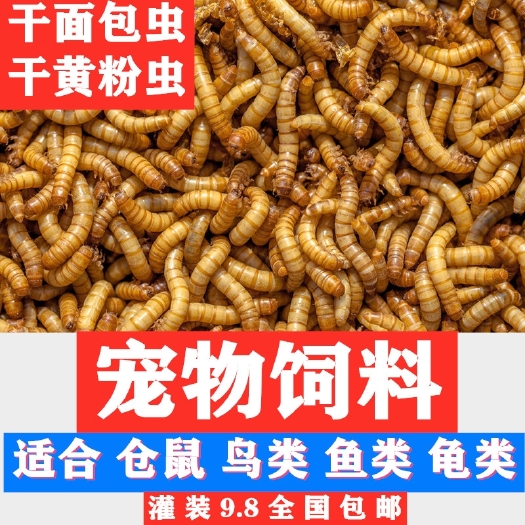 滁州黄粉虫