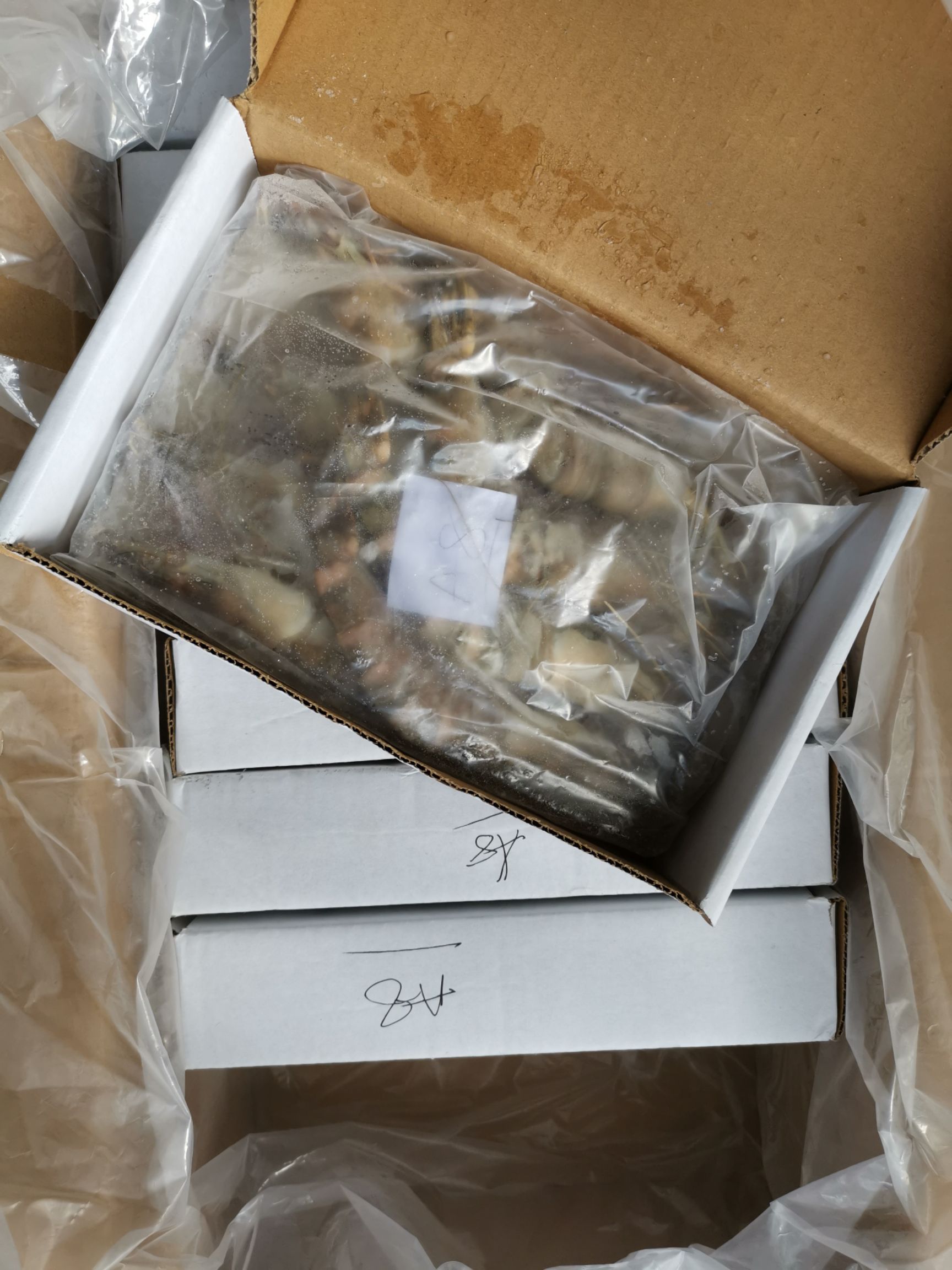 每盒净重1斤8条大虎虾新鲜海捕急冻特大鬼虾草虾鲜甜美味一箱