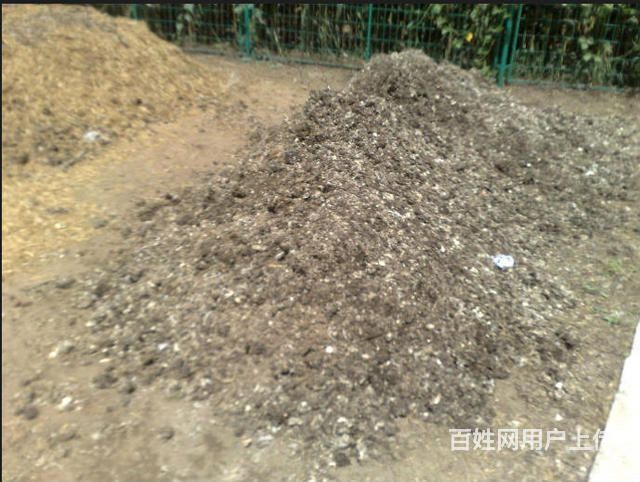 衡东县 鸡粪