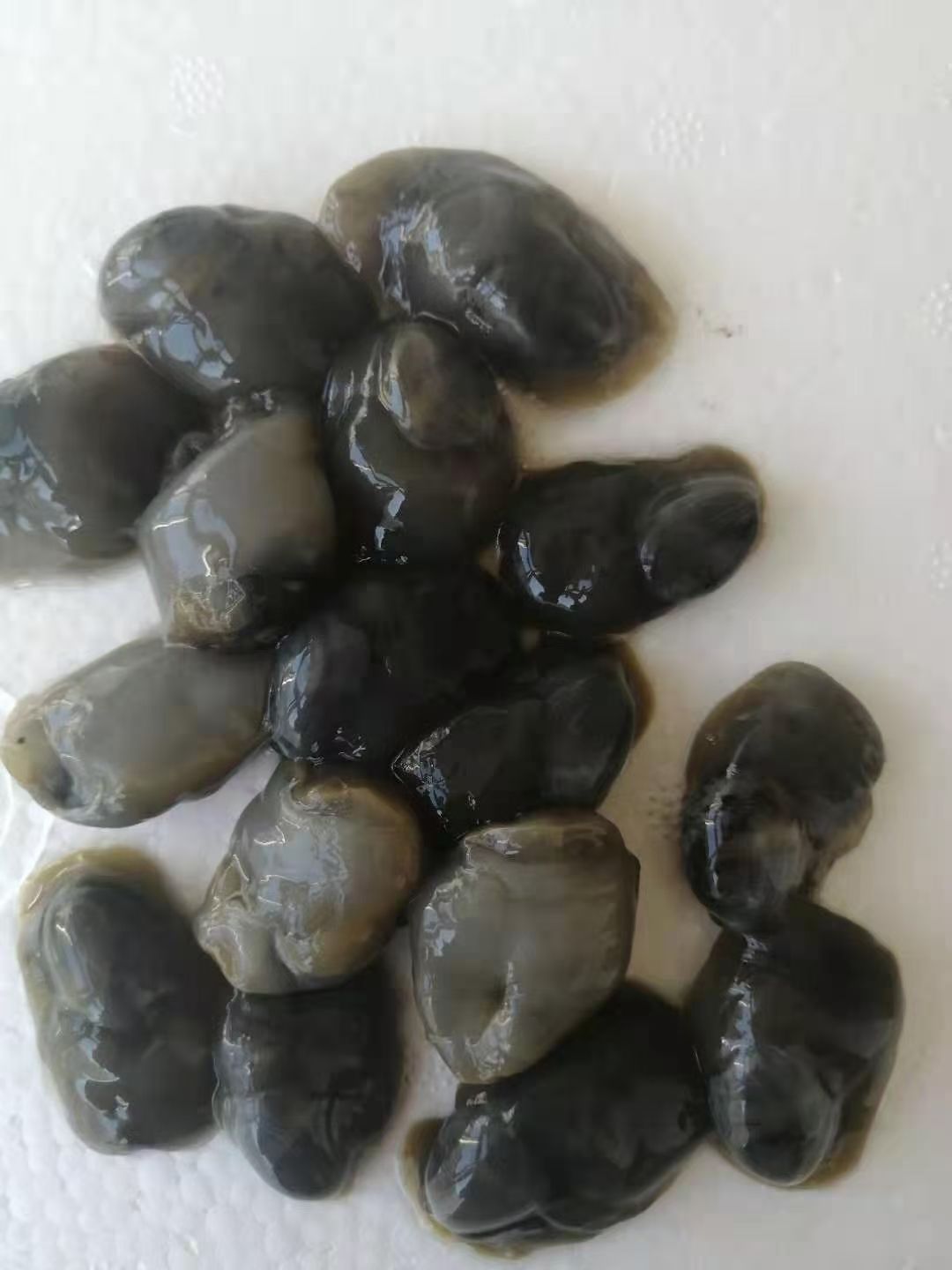 银鱼  单冻雷鱼三去三去雷鱼单冻