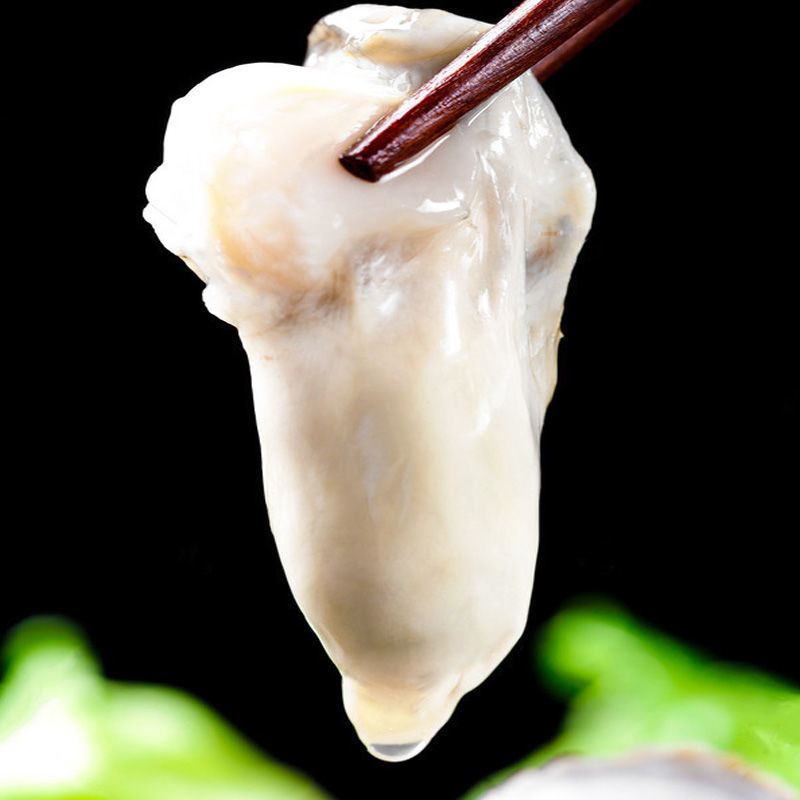 三倍体生蚝  产地直供纯乳山生蚝