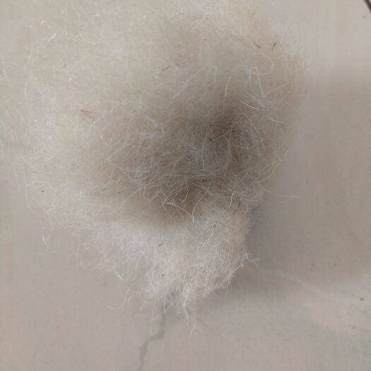 南宫市羊毛保温被，羊毛被絮片用料，毛纺各规格羊毛。