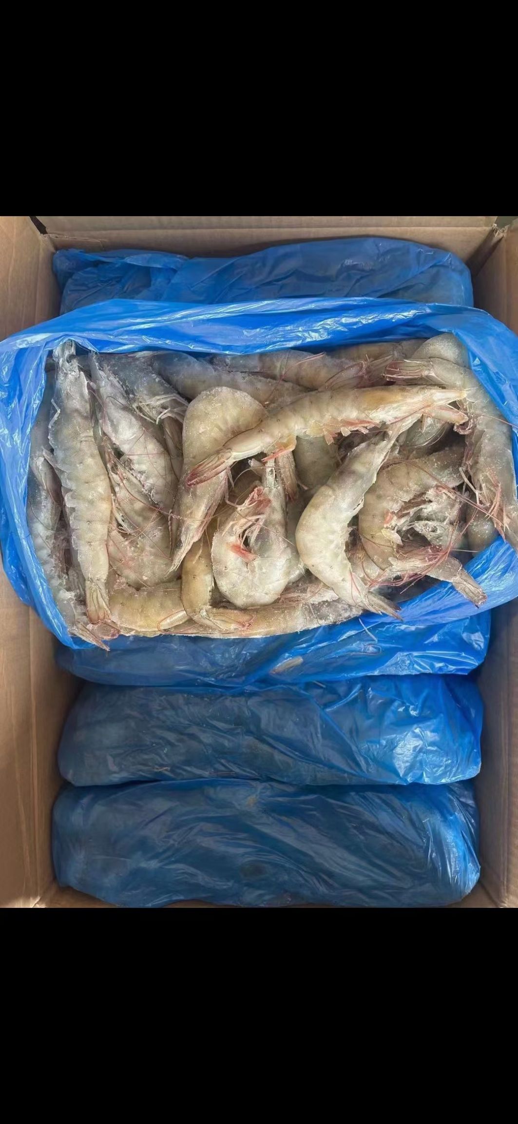 国产大虾4050  青虾 白虾 基围虾 活冻大虾，