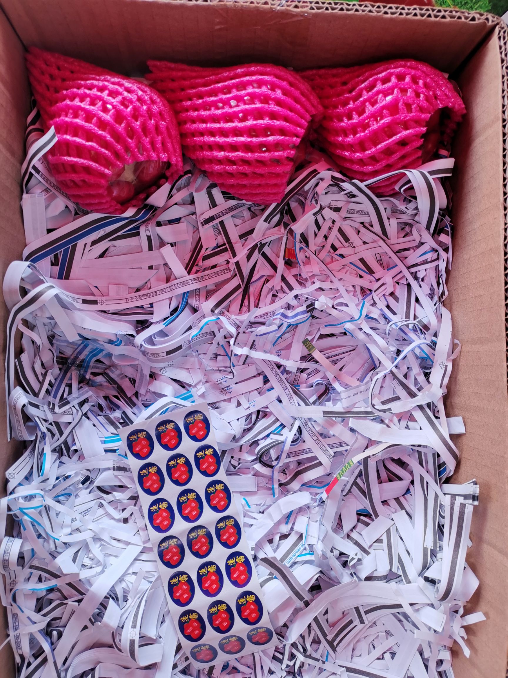  大叶莲雾多仓发货一件代发