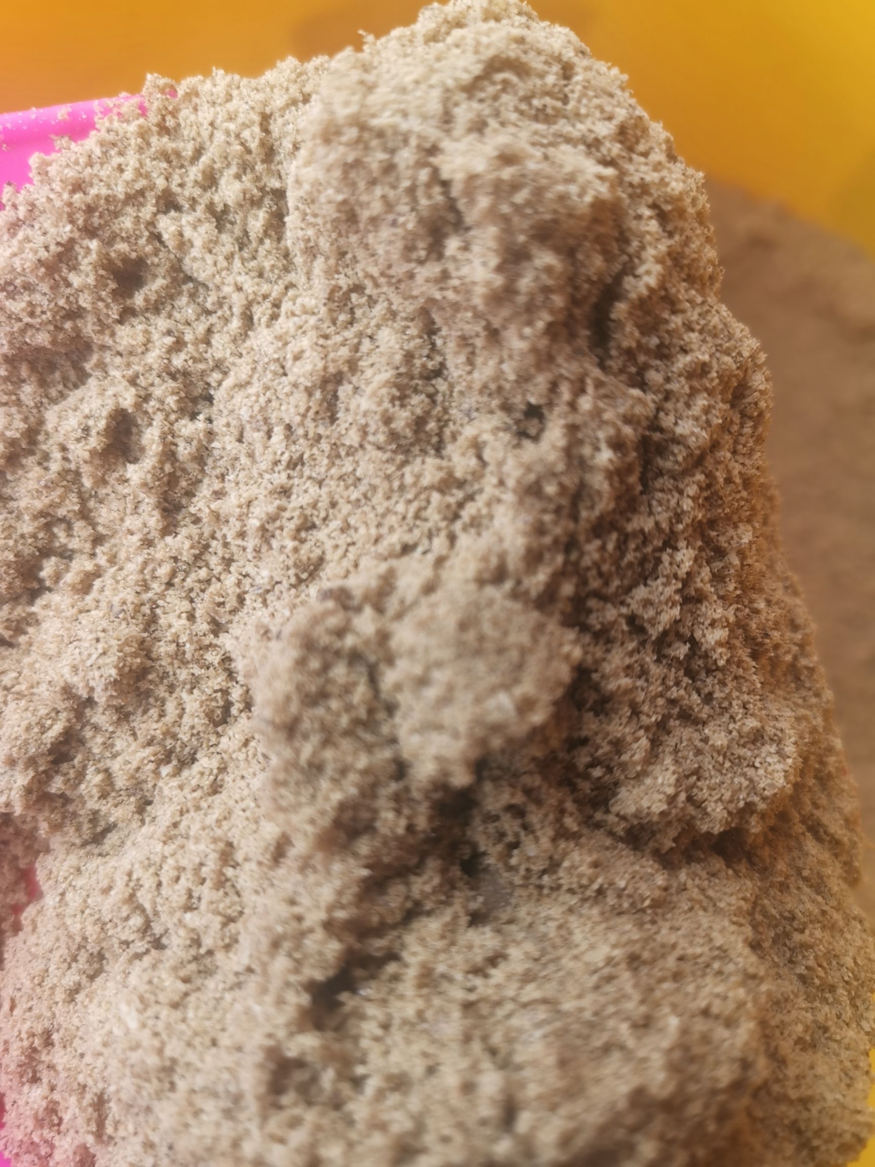 五谷虫干蝇蛆干/粉/油/五谷虫养殖/蝇蛆冻虫/鲜蛆虫供应