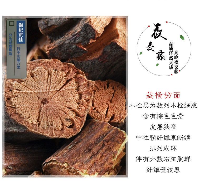 夜交藤首乌藤中药材