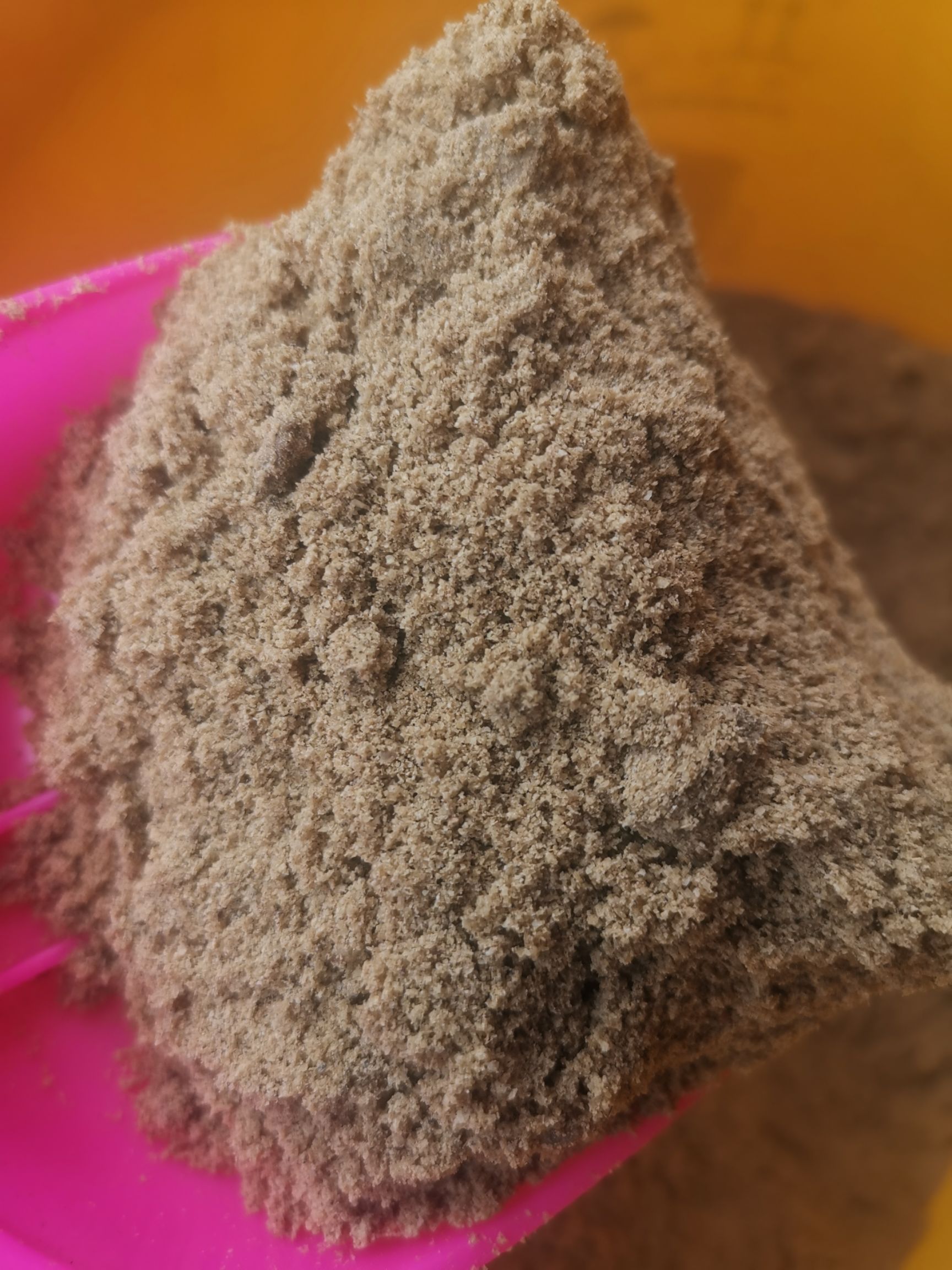 五谷虫干蝇蛆干/粉/油/五谷虫养殖/蝇蛆冻虫/鲜蛆虫供应