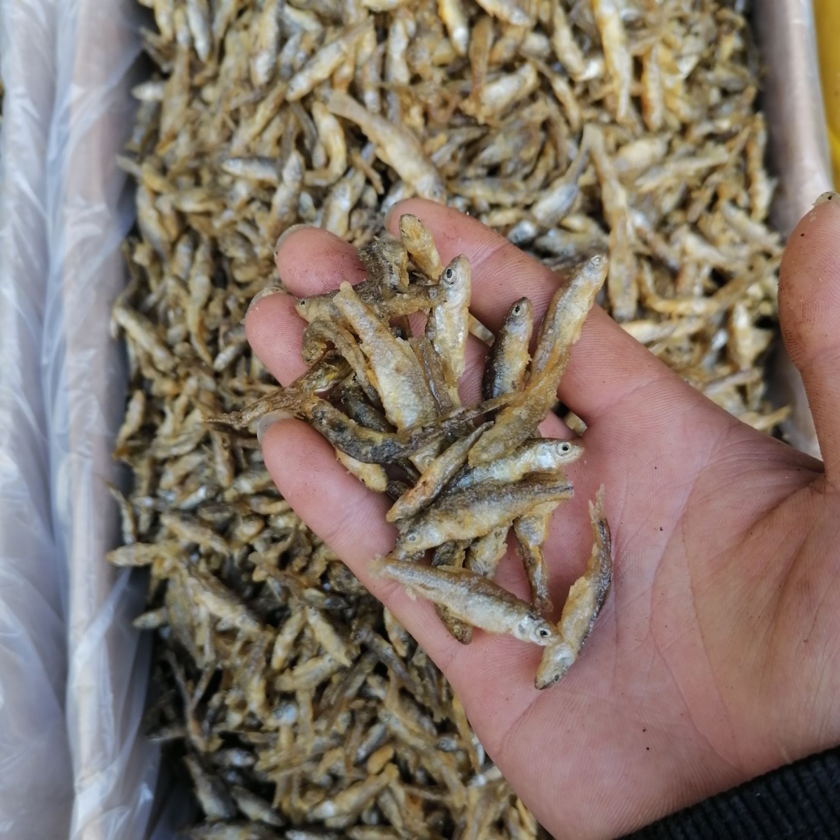 湖南水库鱼 油炸麦穗鱼 油炸弄子鱼火焙烤干小鱼仔