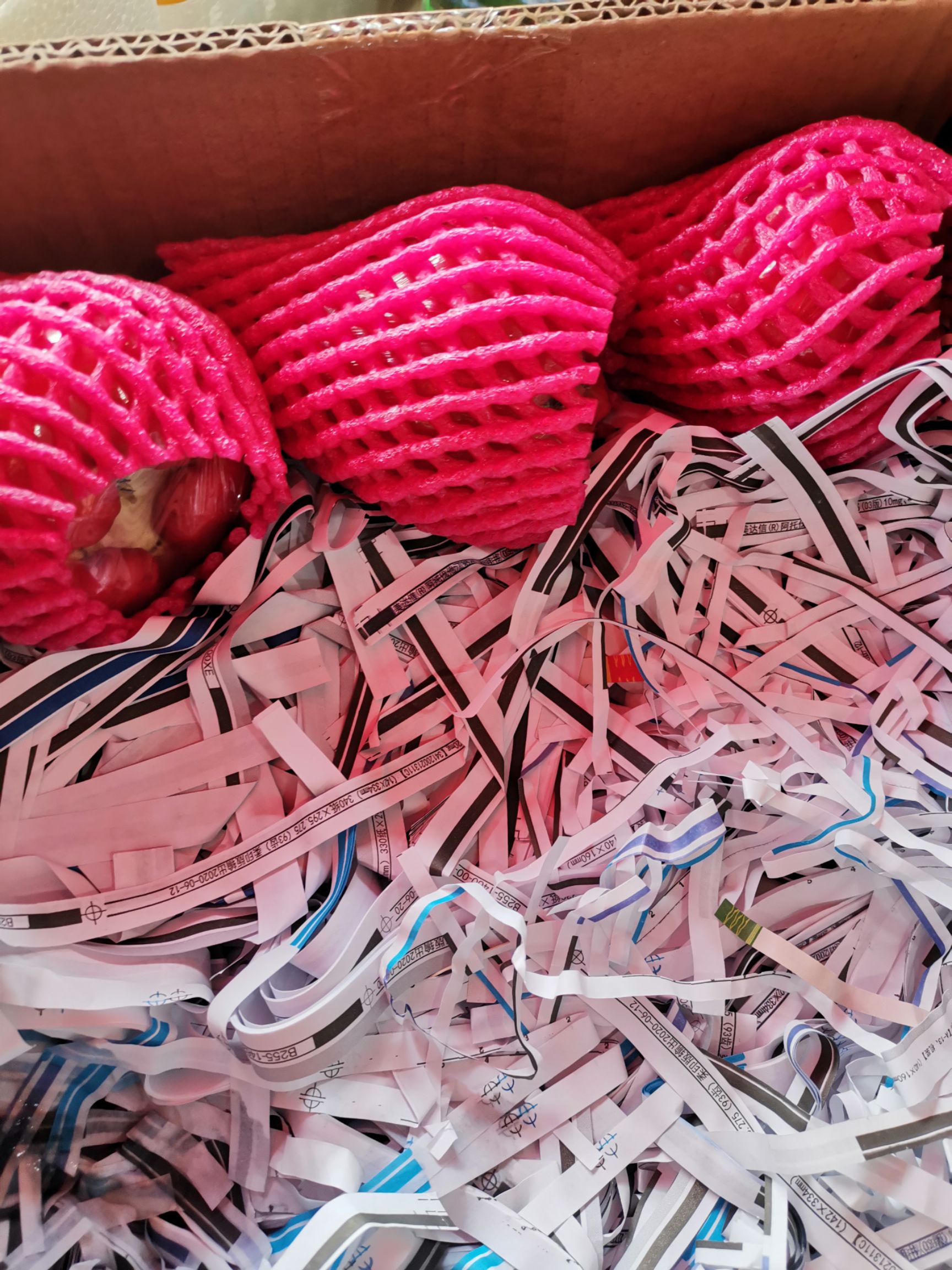  大叶莲雾多仓发货一件代发