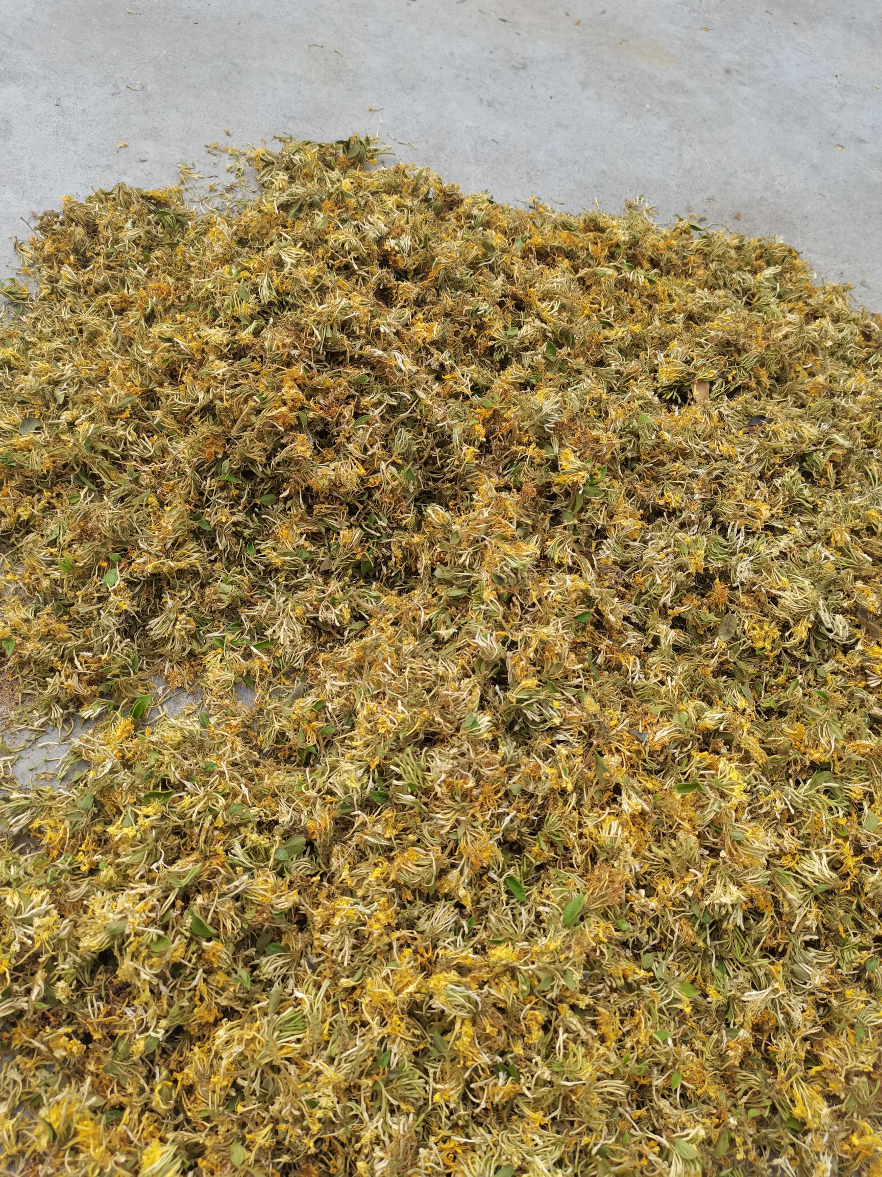 金银花茶 500g农家自晒 无硫 茶花 夏季降火茶