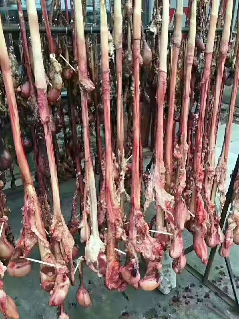 高原新鲜牦牛鞭