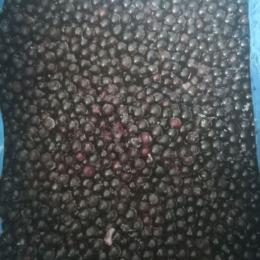 诸暨市 蓝莓冻果（品种蓝美1号）
