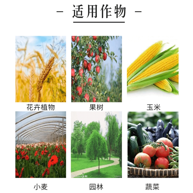 阿美收0.01%芸苔素内酯玉米蔬菜植物调节增产生长调节剂农药