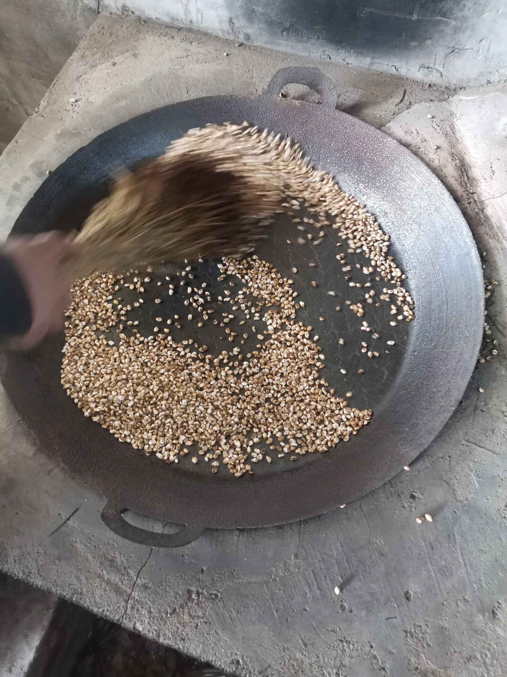 青稞米  高原美食青稞粉