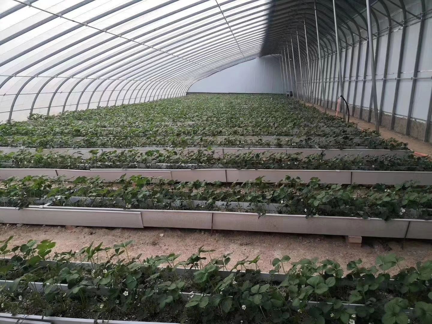 大棚设备  大棚管 斜坡温室日光暖棚 骨架坚固耐用寿命20年