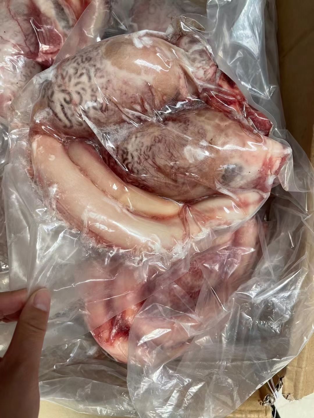 牛鞭宝，单个3.5斤左右