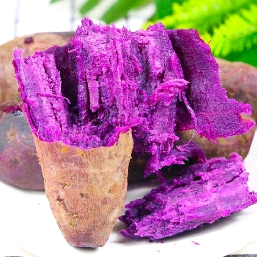 昆明紫罗兰紫薯 紫薯，入口初有弹性 而后绵密松软回甘