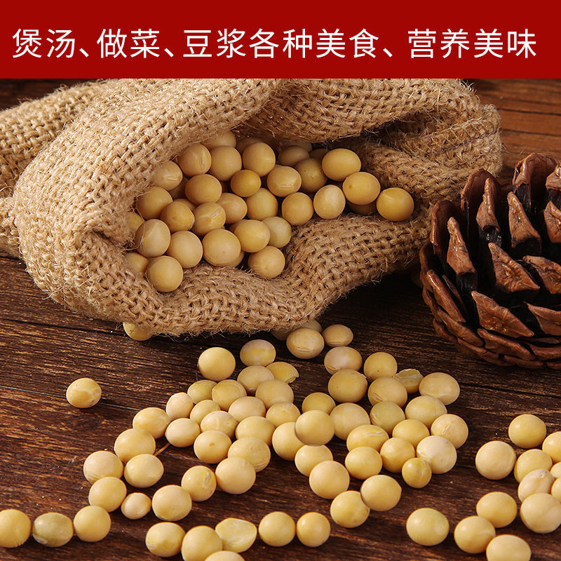 大豆  【10斤】东北新黄豆十斤包邮黑龙江笨黄豆打豆浆发豆芽