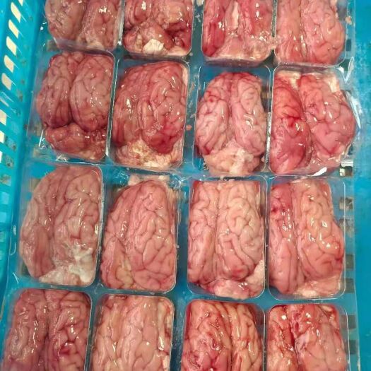 杭州 猪脑，脑花，96个装