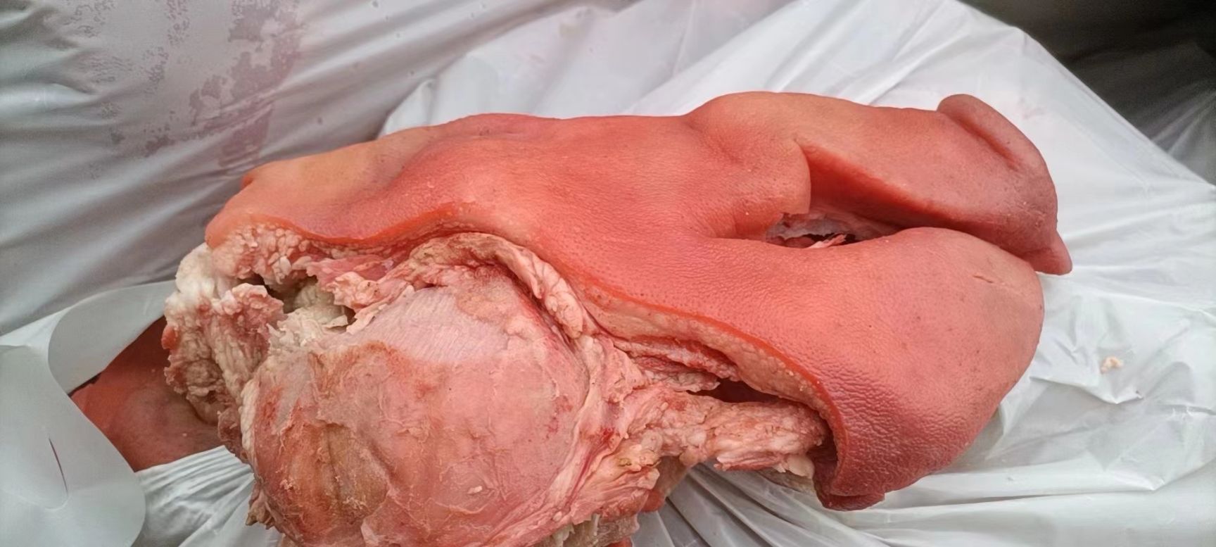 猪副产品  国产猪头肉