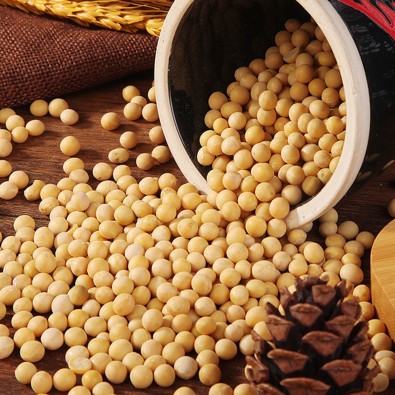 大豆  【10斤】东北新黄豆十斤包邮黑龙江笨黄豆打豆浆发豆芽