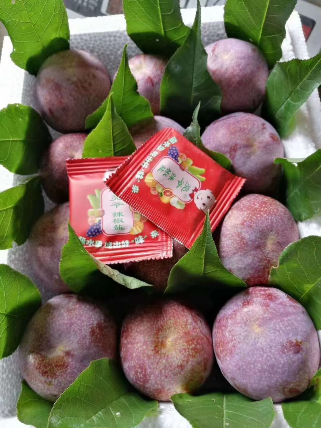 信宜土特产钱排银妃三华李中果现摘现发，产地直供广东省包邮