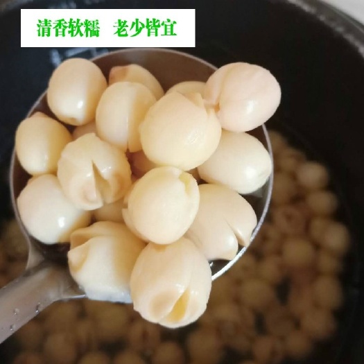 建宁县新货福建建宁莲子特级天然农家手工去皮去芯无心白莲子干货