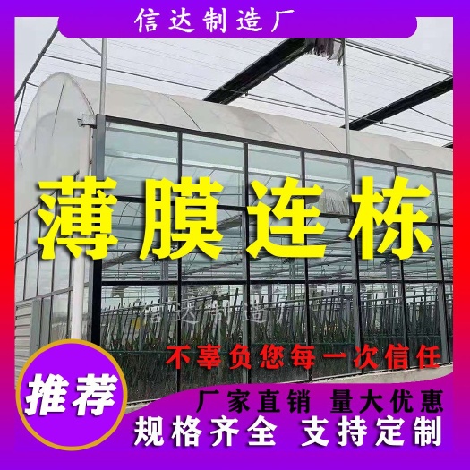 天津大棚管  薄膜连栋大棚 锯齿薄膜连栋大棚  纹络、玻璃温室