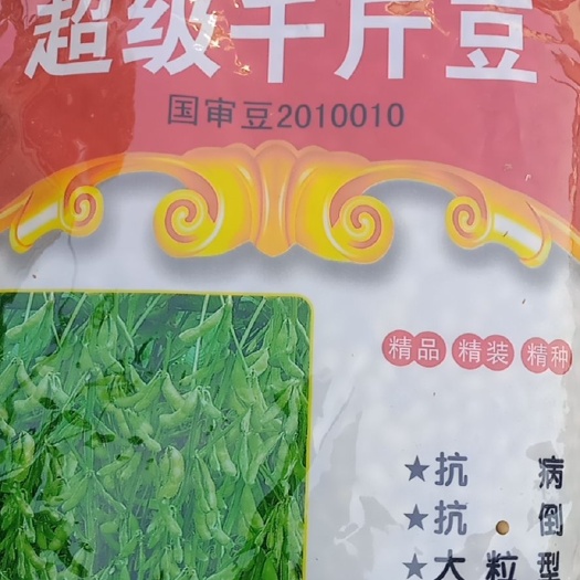 河间市黄豆种子