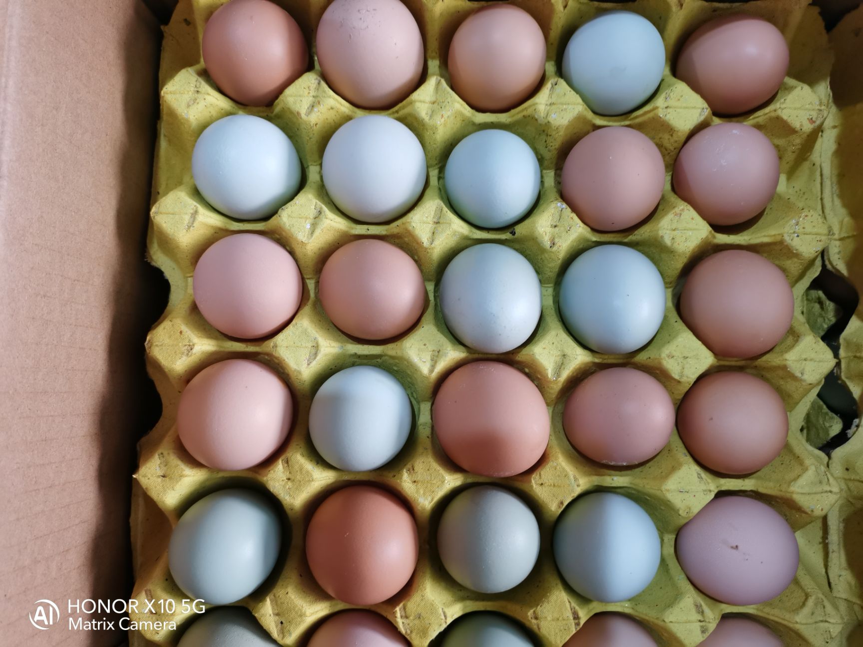 粉壳蛋  大龙二土鸡蛋，武汉发，现捡现发，可整车，