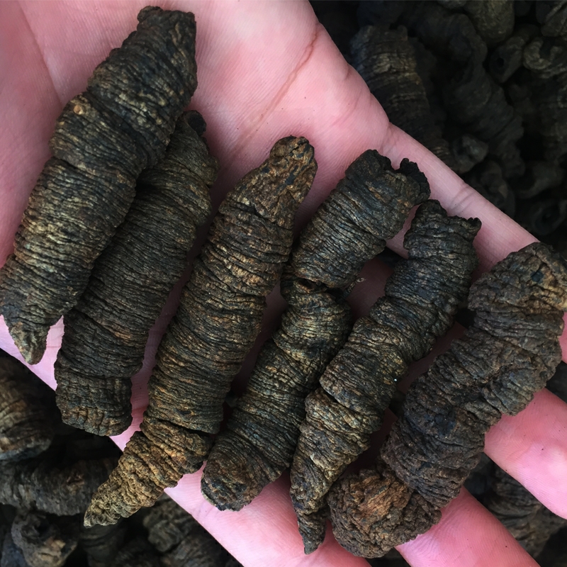 巴戟天中药材正品500g，精选盐制。