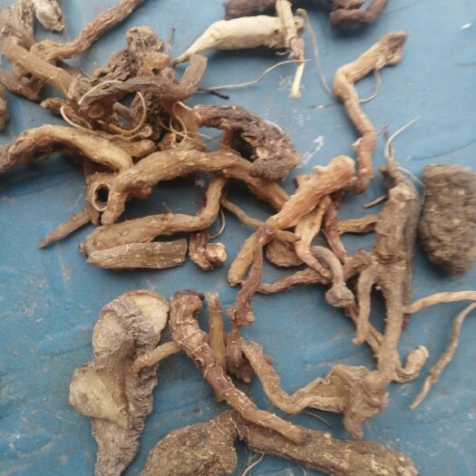 西安 黄精大量供应
