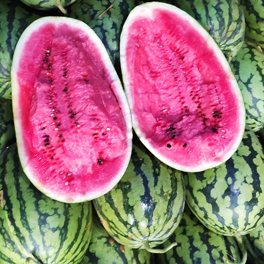 绿裳西瓜绿爽花瓜大瓜口感好脆甜耐运输花型漂亮卖相好皮毛好大红