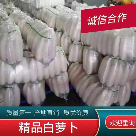 白萝卜  白罗卜，精品1斤至1斤半左右！打冷
